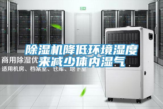 猫咪成人官网降低环境湿度来减少体内湿气