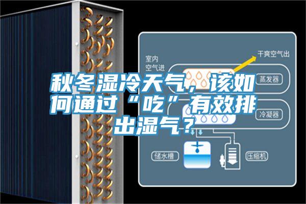 秋冬湿冷天气，该如何通过“吃”有效排出湿气？