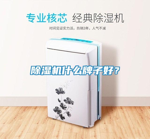 猫咪成人官网什么牌子好？