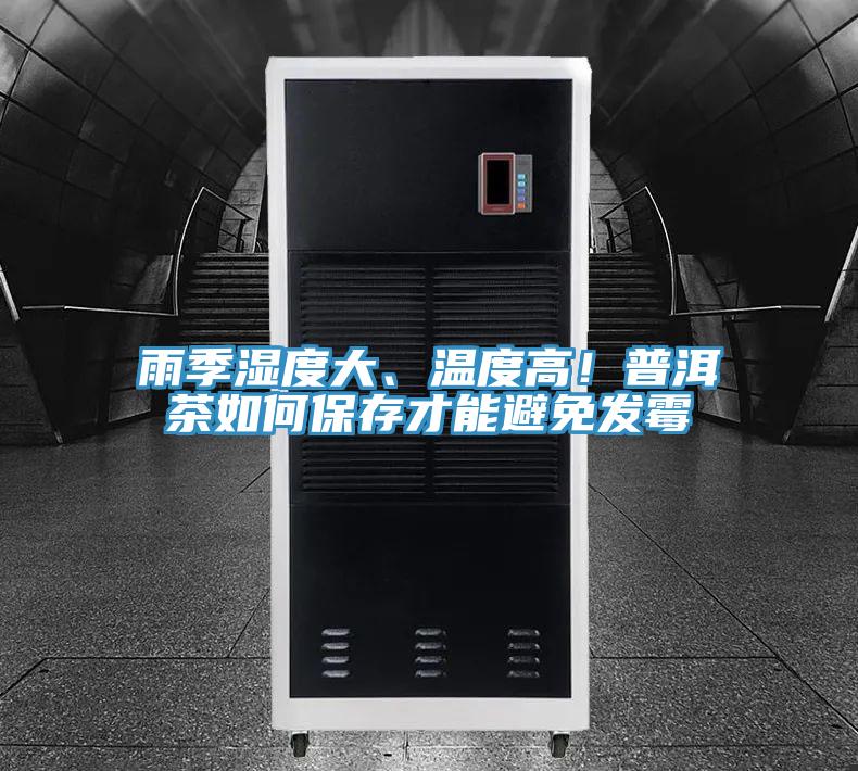 雨季湿度大、温度高！普洱茶如何保存才能避免发霉