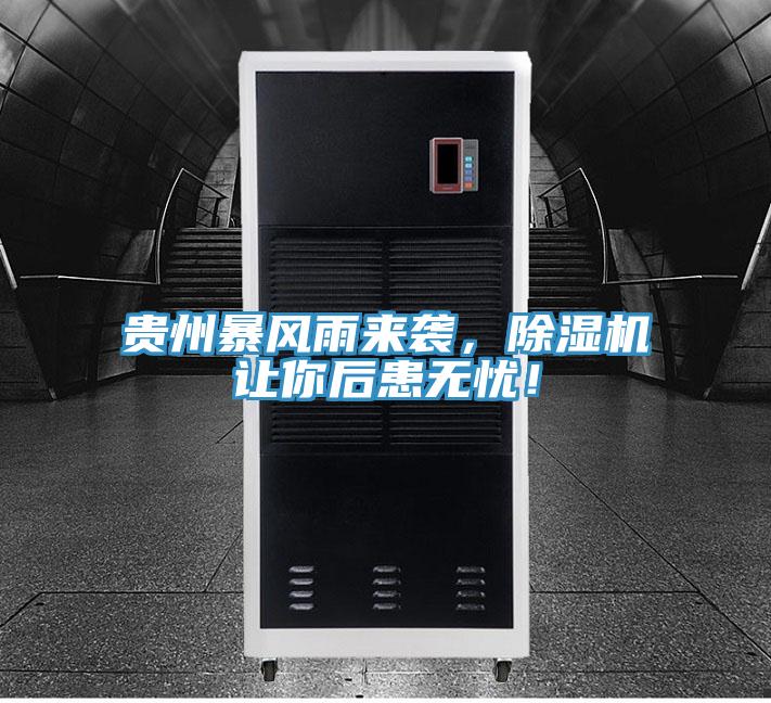 贵州暴风雨来袭，猫咪成人官网让你后患无忧！