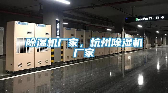 猫咪成人官网厂家，杭州猫咪成人官网厂家