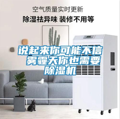 说起来你可能不信 雾霾天你也需要猫咪成人官网