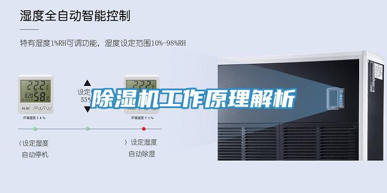 猫咪成人官网工作原理解析