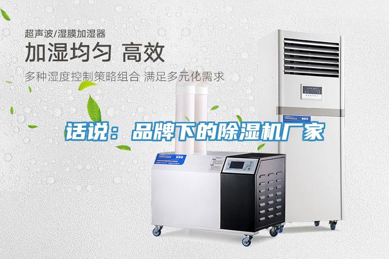 话说：品牌下的猫咪成人官网厂家