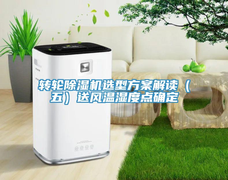 转轮猫咪成人官网选型方案解读（五）送风温湿度点确定