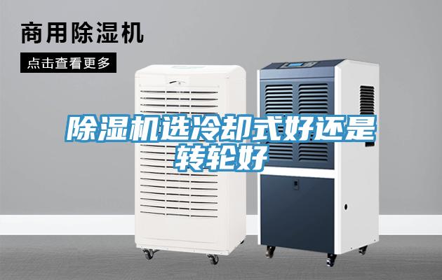 猫咪成人官网选冷却式好还是转轮好