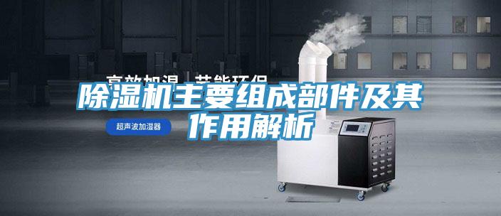 猫咪成人官网主要组成部件及其作用解析