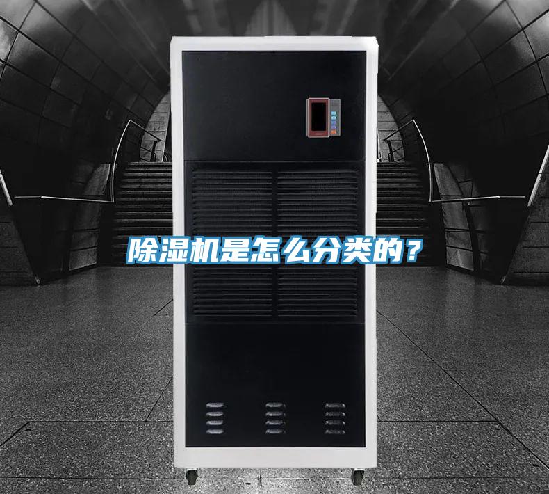 猫咪成人官网是怎么分类的？