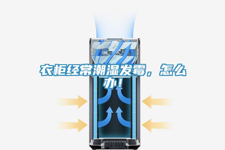 衣柜经常潮湿发霉，怎么办！