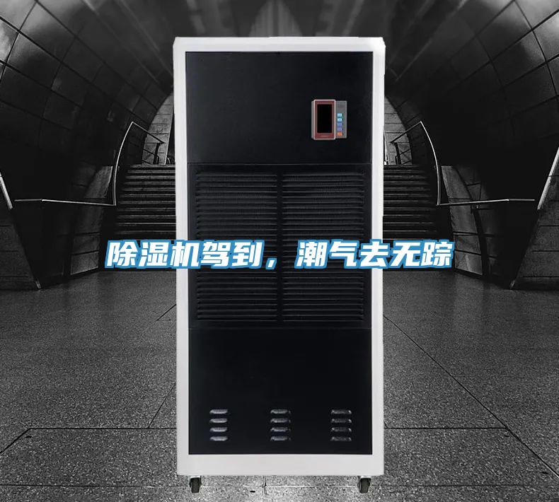 猫咪成人官网驾到，潮气去无踪