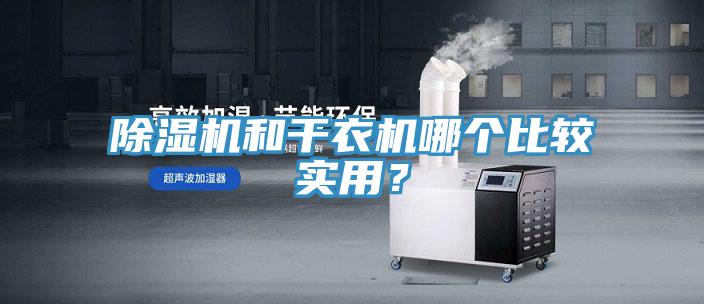 猫咪成人官网和干衣机哪个比较实用？