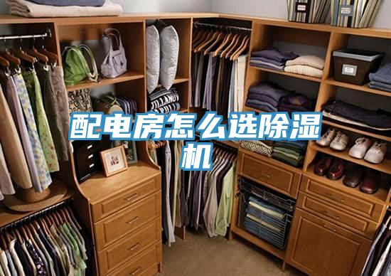 配电房怎么选猫咪成人官网