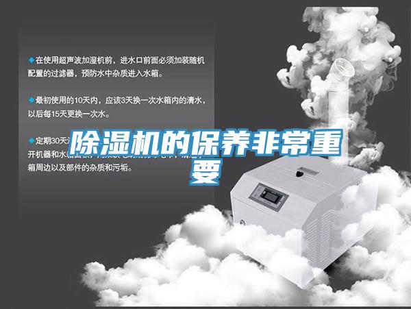 猫咪成人官网的保养非常重要