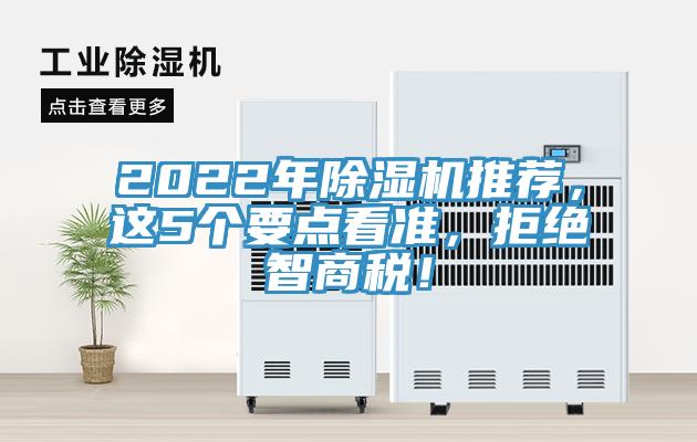 2022年猫咪成人官网推荐，这5个要点看准，拒绝智商税！
