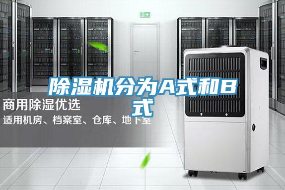 猫咪成人官网分为A式和B式