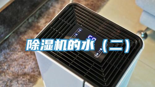 猫咪成人官网的水（二）