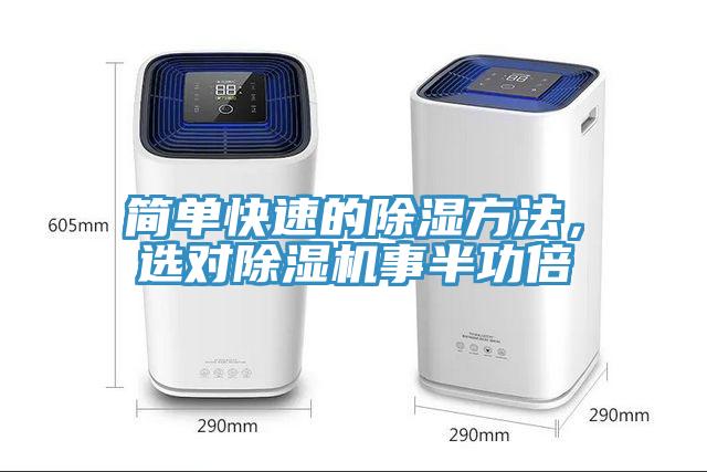 简单快速的除湿方法，选对猫咪成人官网事半功倍
