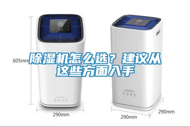 猫咪成人官网怎么选？建议从这些方面入手