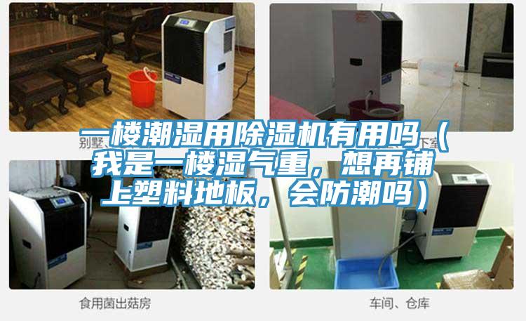 一楼潮湿用猫咪成人官网有用吗（我是一楼湿气重，想再铺上塑料地板，会防潮吗）