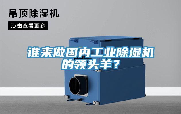 谁来做国内工业猫咪成人官网的领头羊？