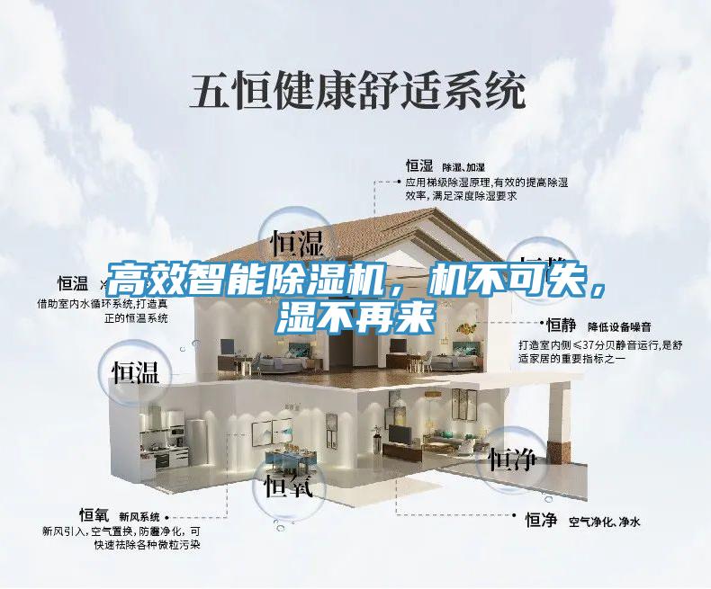 高效智能猫咪成人官网，机不可失，湿不再来