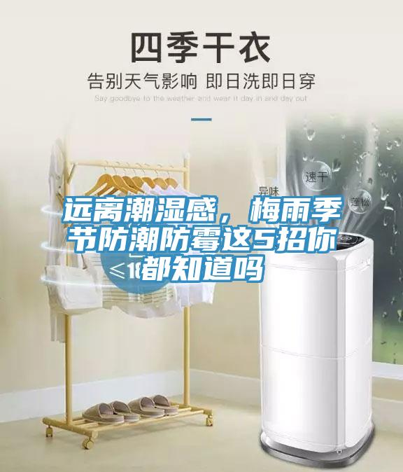 远离潮湿感，梅雨季节防潮防霉这5招你都知道吗