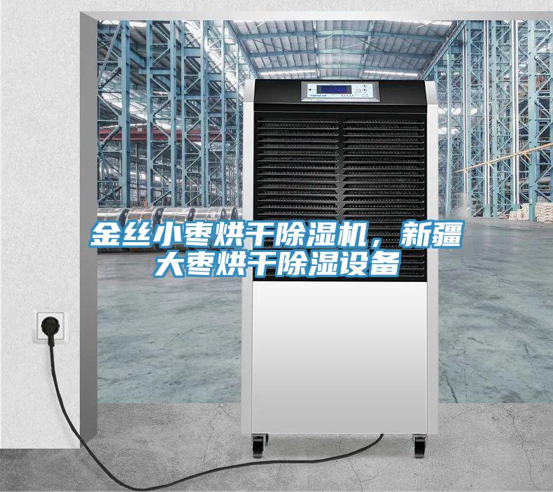 金丝小枣烘干猫咪成人官网，新疆大枣烘干除湿设备