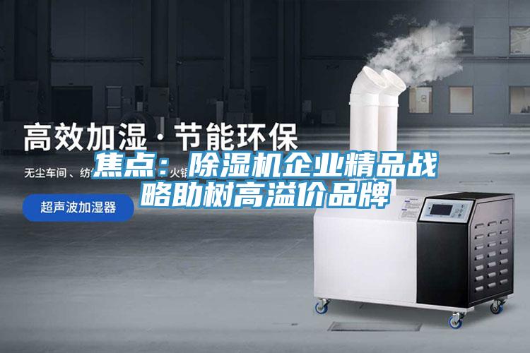 焦点：猫咪成人官网企业精品战略助树高溢价品牌