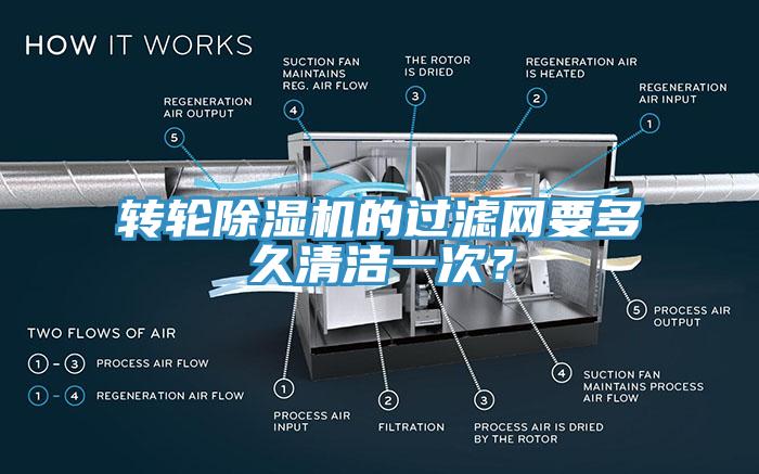 转轮猫咪成人官网的过滤网要多久清洁一次？