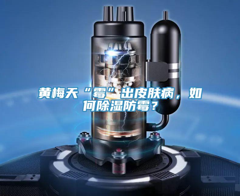 黄梅天“霉”出皮肤病，如何除湿防霉？