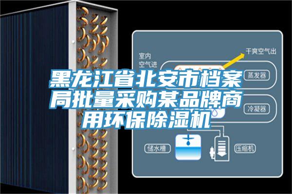 黑龙江省北安市档案局批量采购某品牌商用环保猫咪成人官网