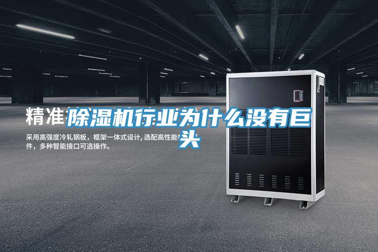 猫咪成人官网行业为什么没有巨头