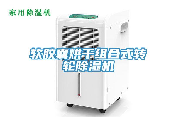 软胶囊烘干组合式转轮猫咪成人官网
