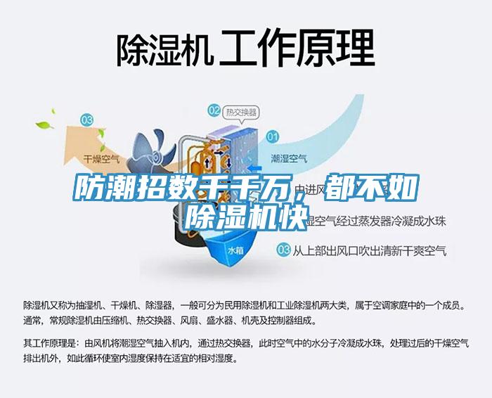 防潮招数千千万，都不如猫咪成人官网快