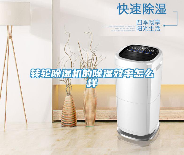 转轮猫咪成人官网的除湿效率怎么样