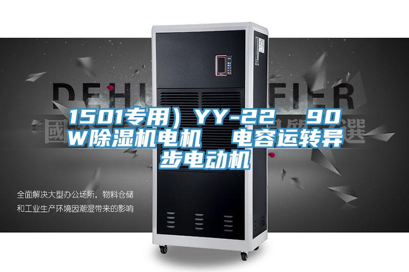 1501专用）YY-22  90W猫咪成人官网电机  电容运转异步电动机