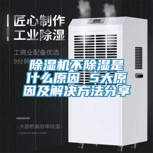 猫咪成人官网不除湿是什么原因 5大原因及解决方法分享