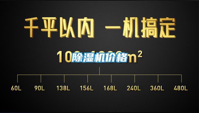 猫咪成人官网价格