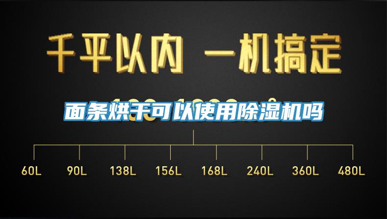 面条烘干可以使用猫咪成人官网吗