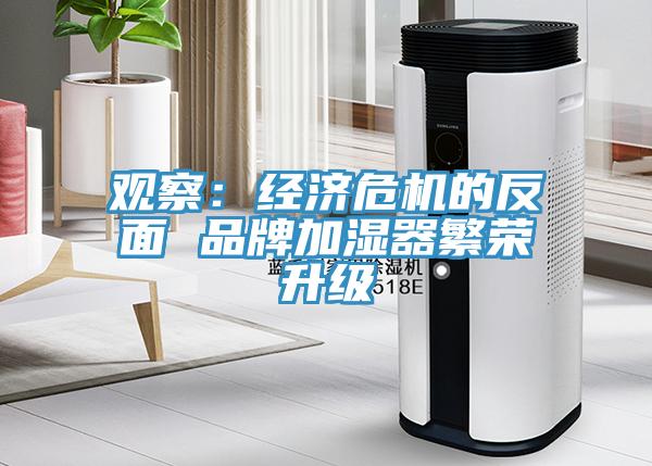 观察：经济危机的反面 品牌加湿器繁荣升级