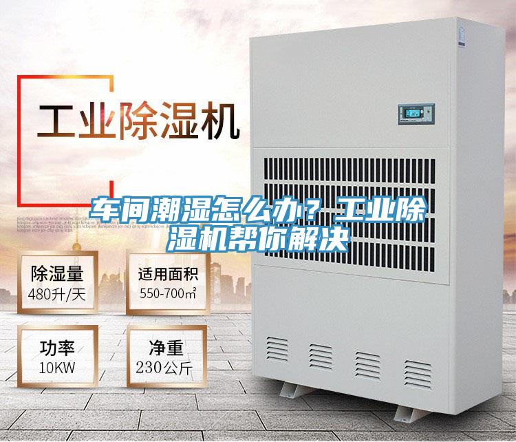 车间潮湿怎么办？工业猫咪成人官网帮你解决