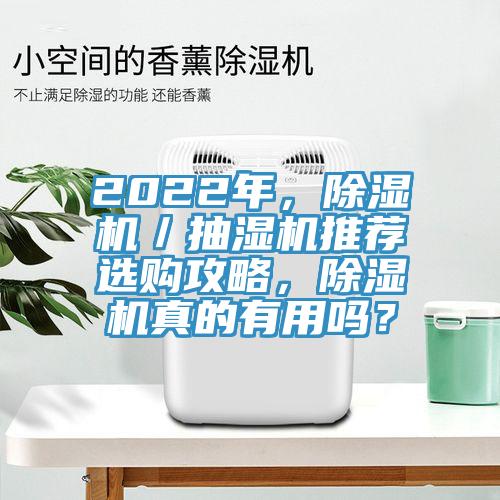 2022年，猫咪成人官网／抽湿机推荐选购攻略，猫咪成人官网真的有用吗？