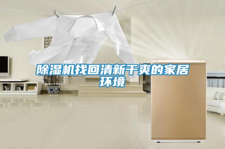 猫咪成人官网找回清新干爽的家居环境