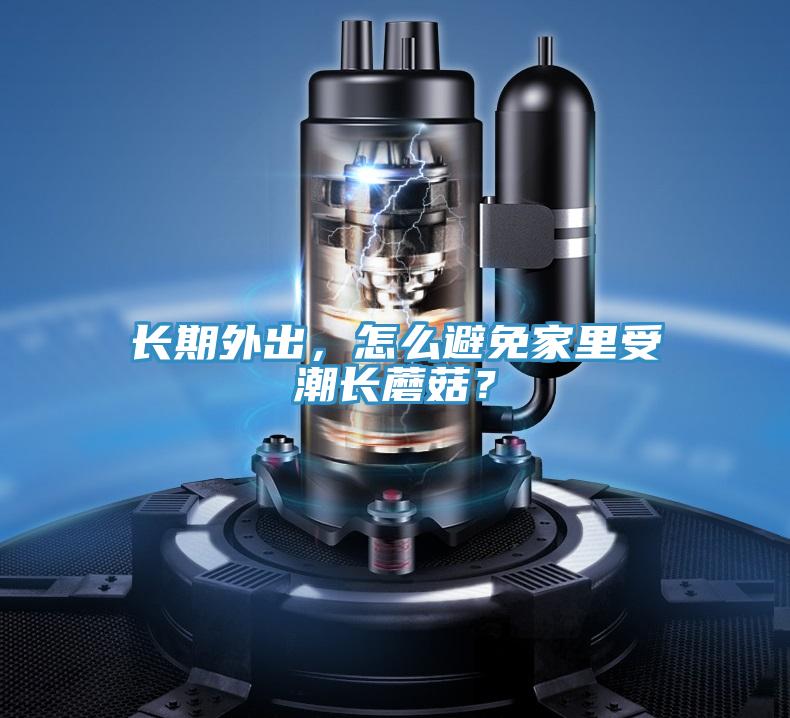 长期外出，怎么避免家里受潮长蘑菇？