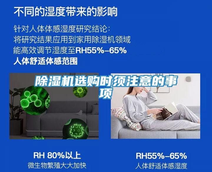 猫咪成人官网选购时须注意的事项