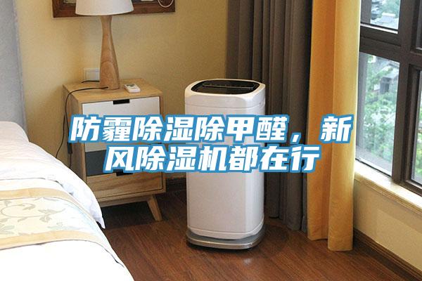防霾除湿除甲醛，新风猫咪成人官网都在行