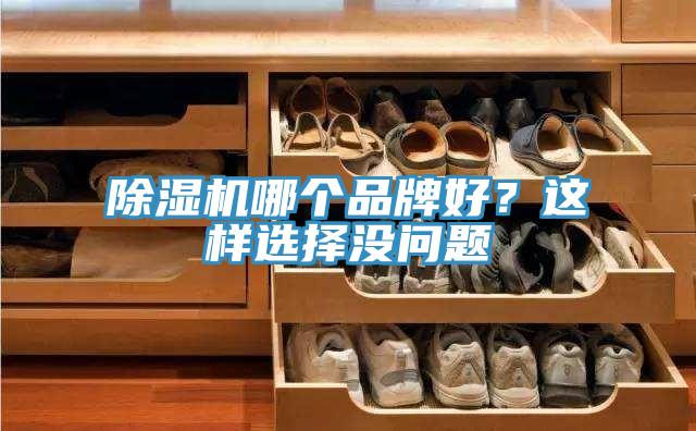 猫咪成人官网哪个品牌好？这样选择没问题