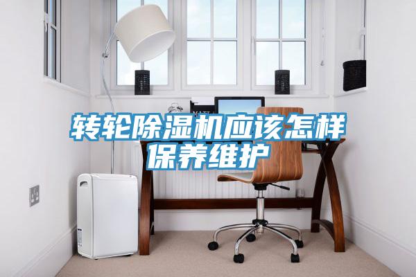 转轮猫咪成人官网应该怎样保养维护