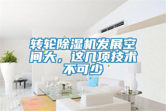 转轮猫咪成人官网发展空间大，这几项技术不可少